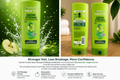 Garnier Fructis Grow Strong